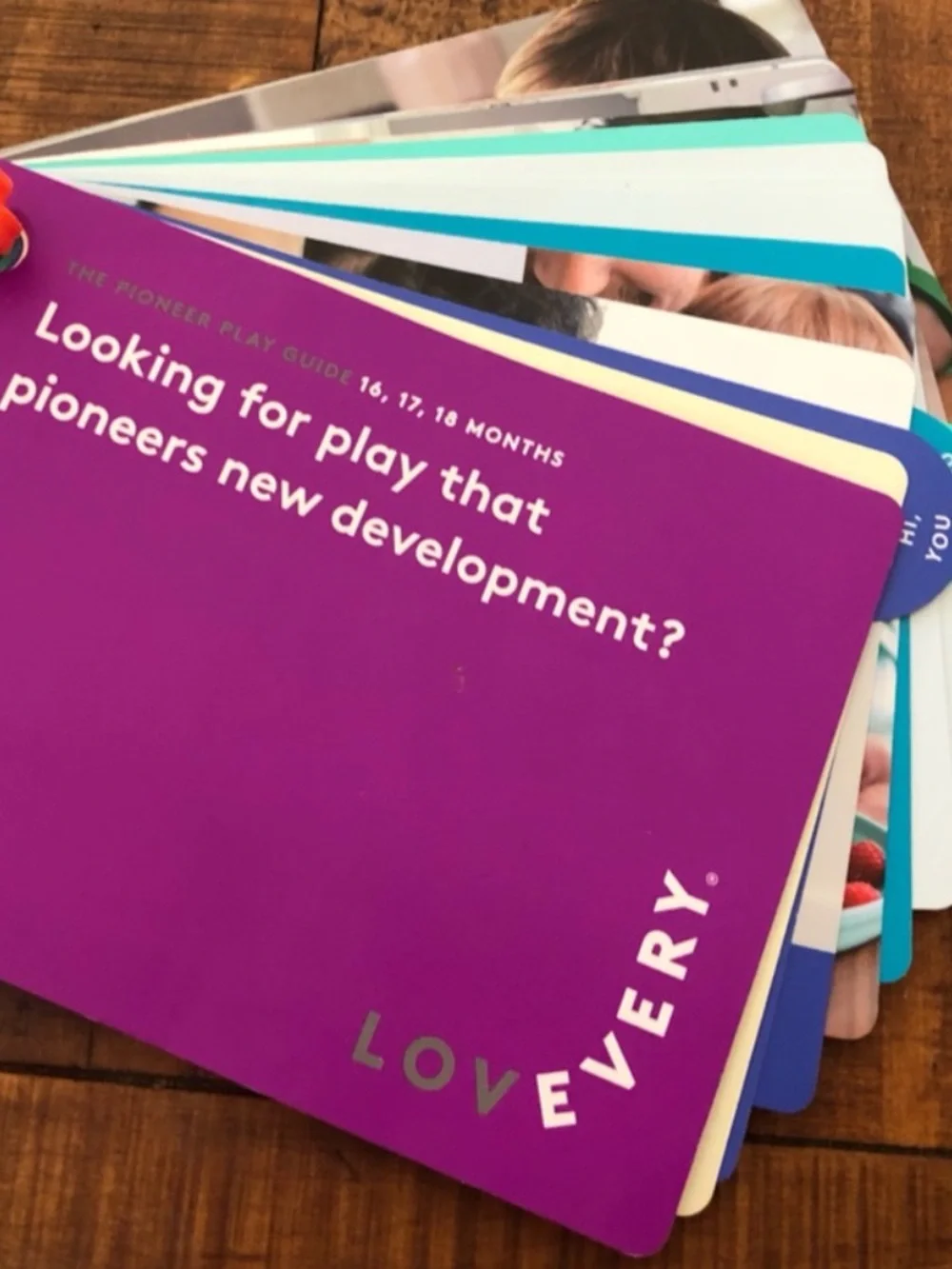 Lovevery Pioneer Play Guide (16-18 months), fuzzy bug shrub & book